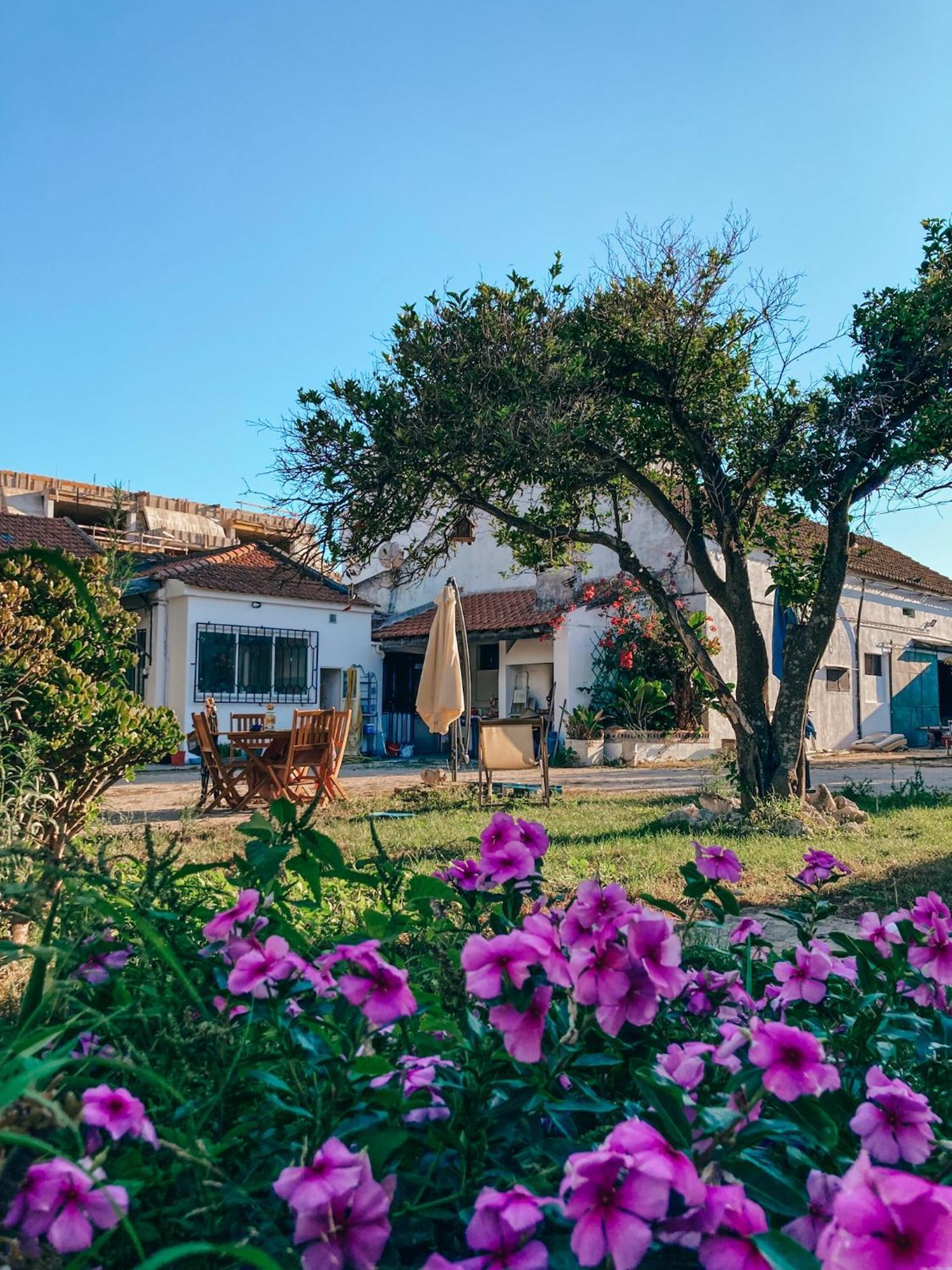 Montijo Garden - Private Rooms Exterior foto